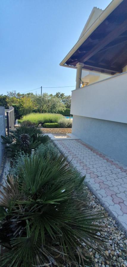 Sunny Apartments Zaton  Exterior photo